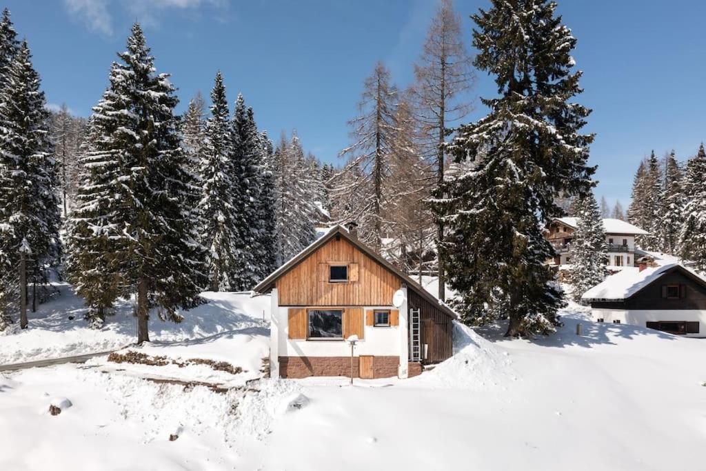 Gemuetliche Huette In Den Bergen Villa ซอนเนนอัลเพอ นัสส์เฟลด์ ภายนอก รูปภาพ
