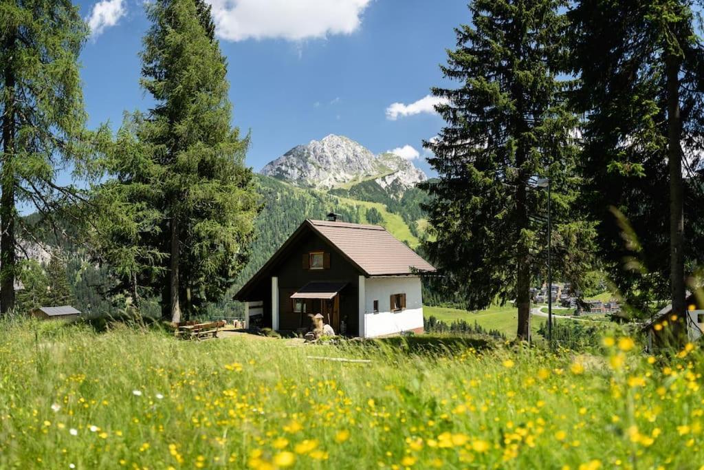 Gemuetliche Huette In Den Bergen Villa ซอนเนนอัลเพอ นัสส์เฟลด์ ภายนอก รูปภาพ